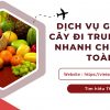 Dịch Vụ Gửi Trái Cây Đi Trung Quốc Nhanh Chóng An Toàn