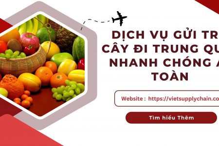 DỊCH VỤ GỬI TRÁI CÂY ĐI TRUNG QUỐC NHANH CHÓNG AN TOÀN