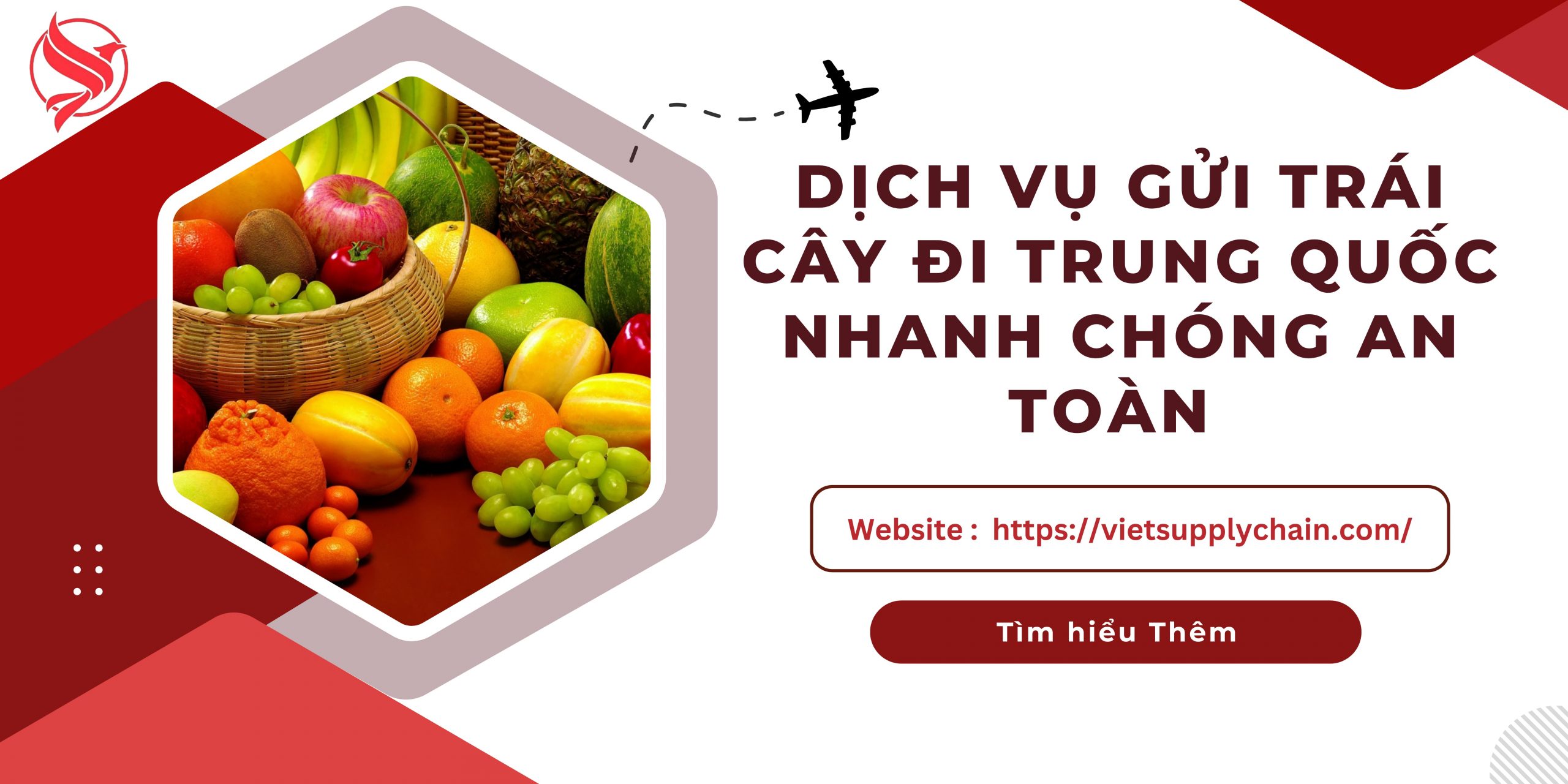 Dịch Vụ Gửi Trái Cây Đi Trung Quốc Nhanh Chóng An Toàn