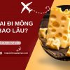 Gửi Phô Mai Đi Mông Cổ Mất Bao Lâu?